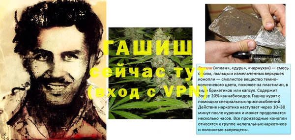 гашик Аркадак