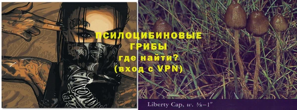 метадон Армянск