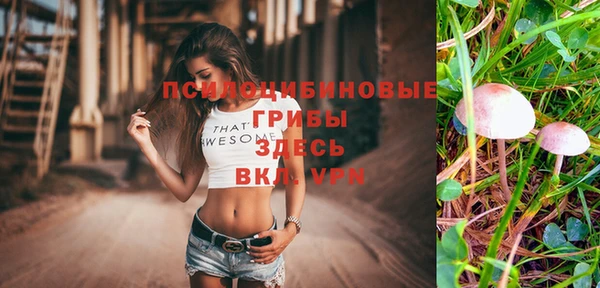 гашик Аркадак