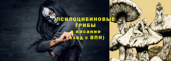 гашик Аркадак